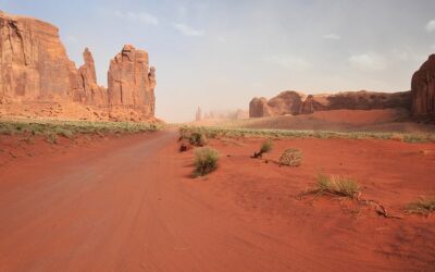 Blessings In The Wilderness